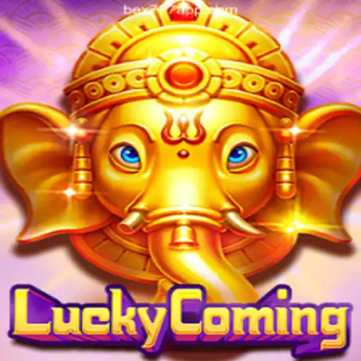 Exploring LuckyComing and the Bex777 App Experience